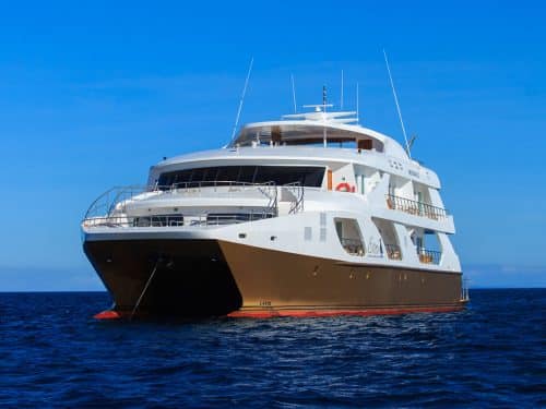 Elite-galapagos-luxury-catamaran-500x375-1