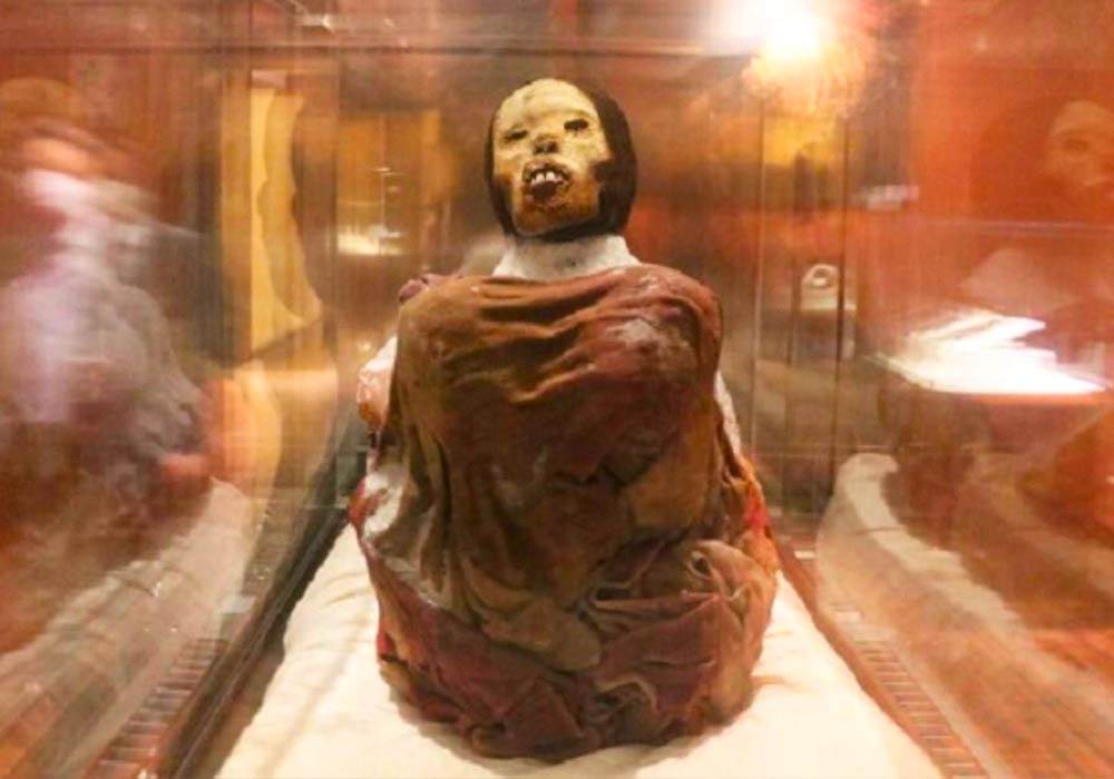 momia juanita museo (2)